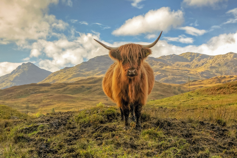 Depuis Glasgow : Loch Lomond, Trossachs et château de Stirling