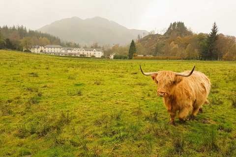 Ab Glasgow: Loch Lomond, Trossachs & Stirling Castle-Tour