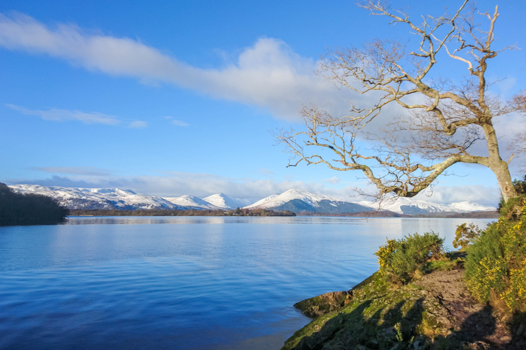 Da Edimburgo: Castello di Stirling, Loch Lomond e tour del whiskyTour in inglese