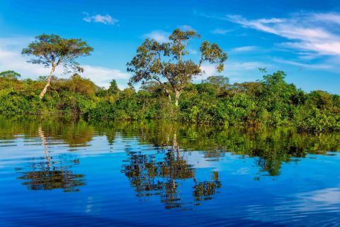 Iquitos: tour guidato di un'intera giornata sul Rio delle Amazzoni