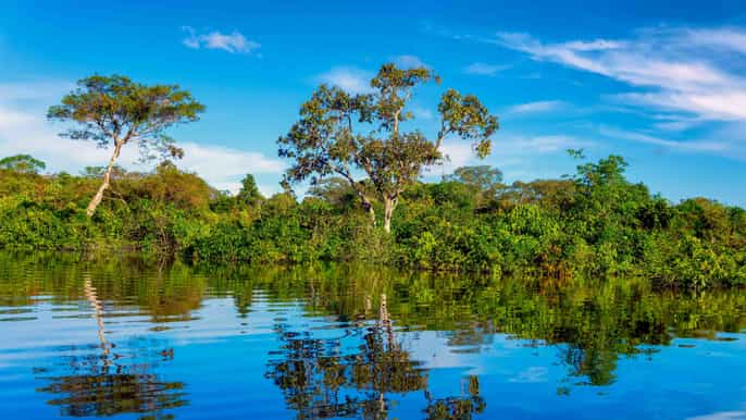 iquitos tour guiado de día completo por el río amazonas