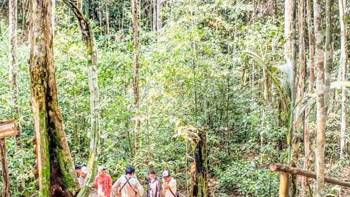 iquitos excursión de todo el día a la reserva natal de allpahuayo mishana