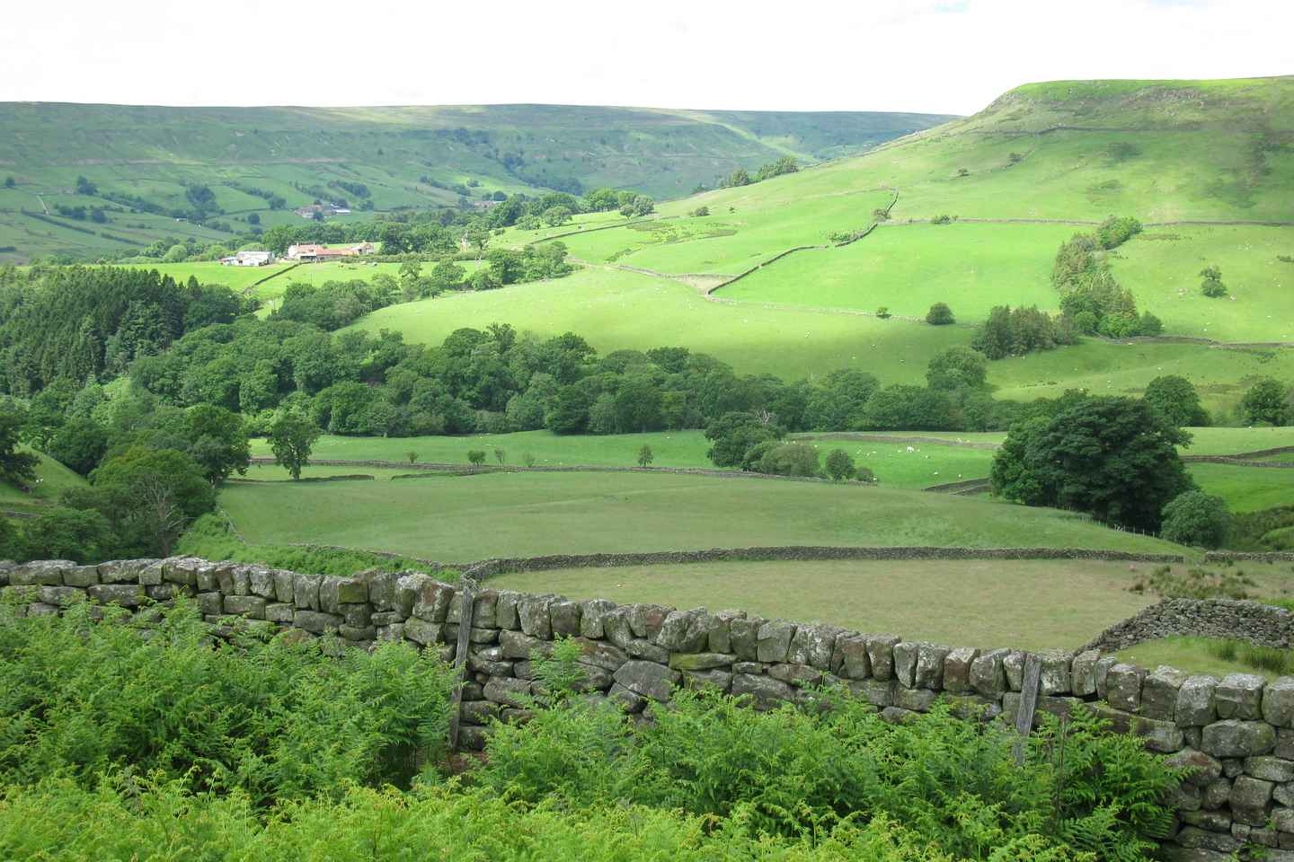 Heilsdagsferð um Yorkshire Dales frá York