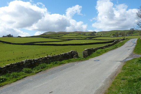 Van York: Full-Day Yorkshire Dales Tour