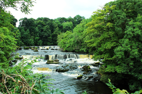 Van York: Full-Day Yorkshire Dales Tour