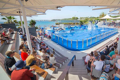 Costa d'en Blanes: Ticket für das Marineland Mallorca