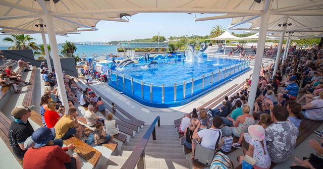 Visit Costa d'en Blanes Entry Ticket for Marineland Mallorca in Palma de Mallorca