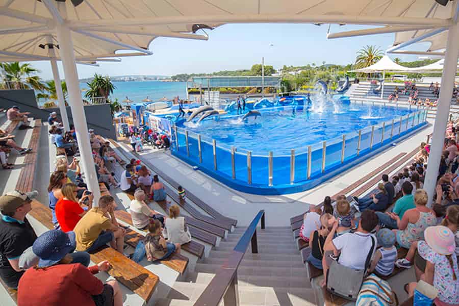 Costa d'en Blanes: Ticket für das Marineland Mallorca. Foto: GetYourGuide