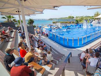 Mallorca: Eintrittskarten für den Tierpark Marineland Mallorca: Eintrittskarten für den Tierpark Marineland