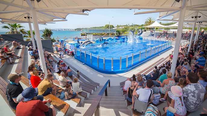 Mallorca: entradas a Marineland Mallorca
