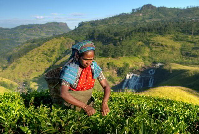 Van Bentota: 2-daagse Hill Country Tour