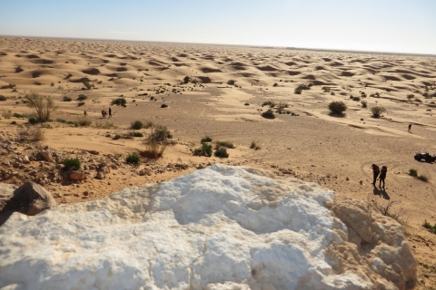 Djerba: Ganztägige Ksar Ghilane Oasentour