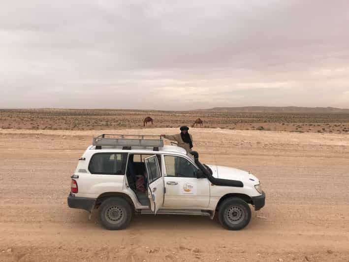 Da Djerba Tour Di Un Giorno Intero Di Ksar Ghilane Sahara E Oasi