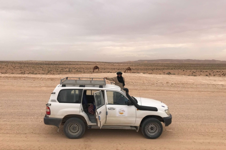 Djerba: Ganztägige Ksar Ghilane Oasentour