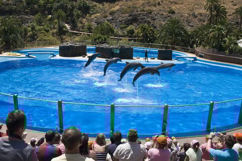 Gran Canaria: Admission Tickets for Palmitos Park