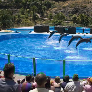 Gran Canaria: Eintritt zum Palmitos Park