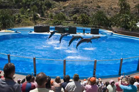 Gran Canaria: Inngangsbillett til Palmitos Park