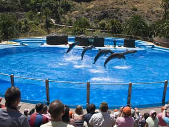 Gran Canaria: Eintritt zum Palmitos Park Gran Canaria: Eintritt zum Palmitos Park