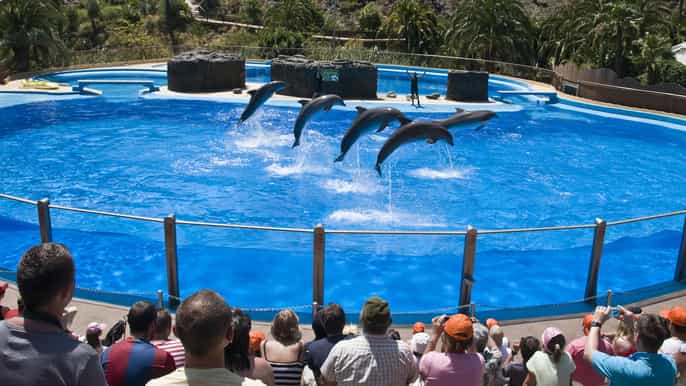 Gran Canaria: Admission Tickets for Palmitos Park