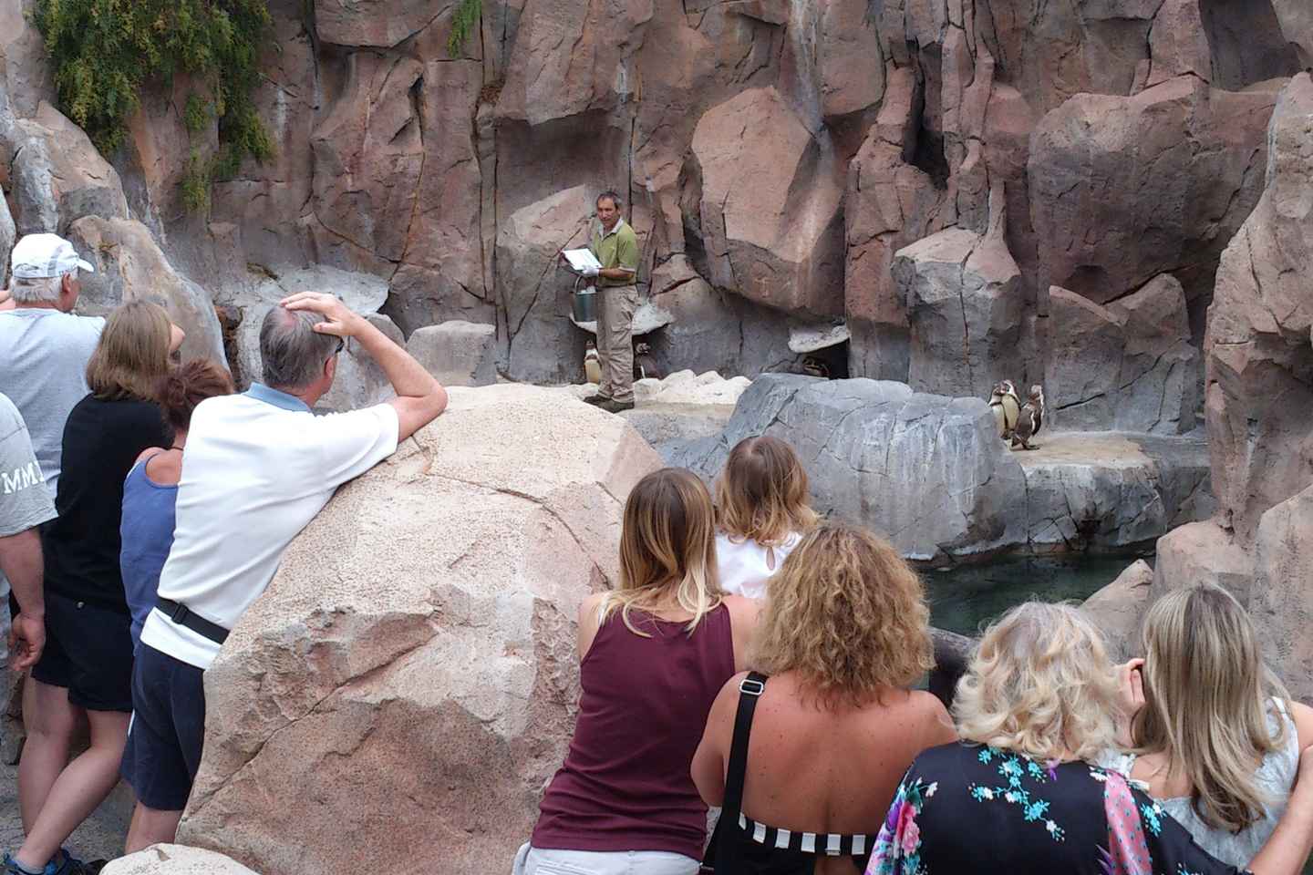 Arona : Billet d'entrée pour le parc zoologique Jungle Park de Tenerife