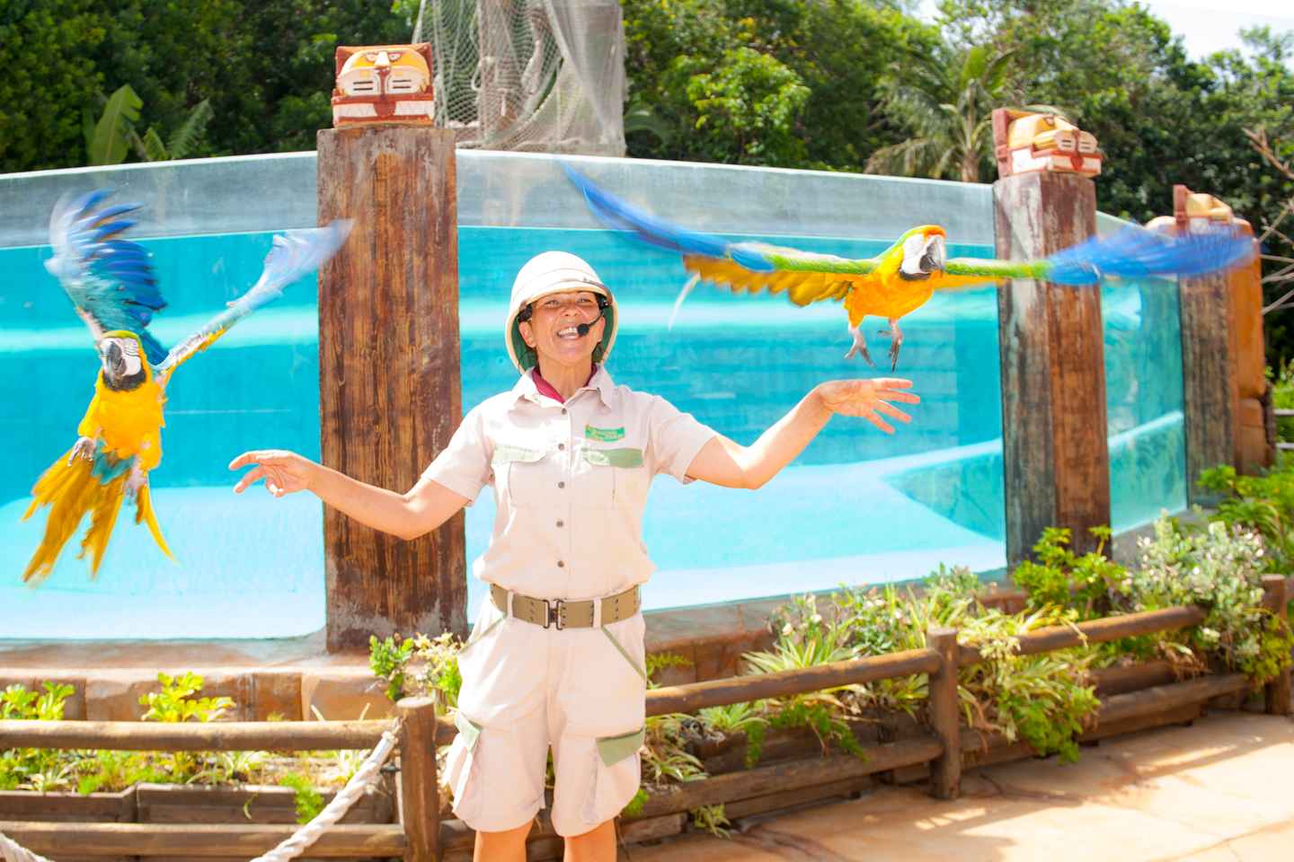 Arona : Billet d'entrée pour le parc zoologique Jungle Park de Tenerife