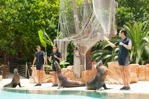 Entry Ticket to Tenerife's Jungle Park Zoo