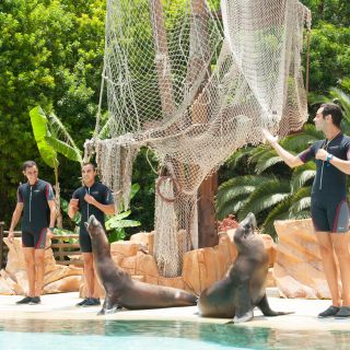Tenerife: Admission Tickets for Jungle Park