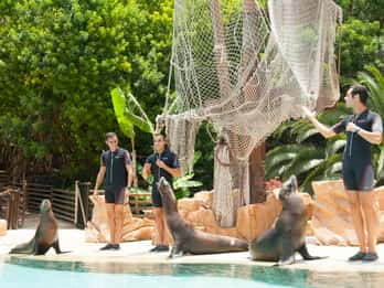 Teneriffa: Eintrittskarten für den Jungle Park Teneriffa: Eintrittskarten für den Jungle Park