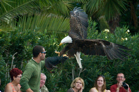 Tenerife: tickets voor Jungle Park