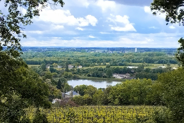 Bordeaux med gruscykel : Historiskt centrum &amp; vingårdar