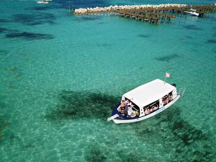 glass bottom boat tour nassau bahamas