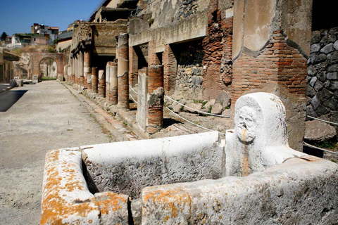 Van Napels: 2 uur durende wandeling door de ruïnes van Pompeii