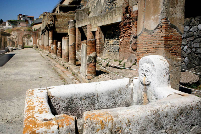 De Naples: visite à pied de 2 heures des ruines de Pompéi