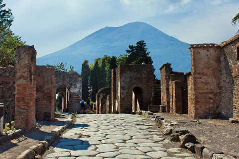 De Naples: visite à pied de 2 heures des ruines de Pompéi