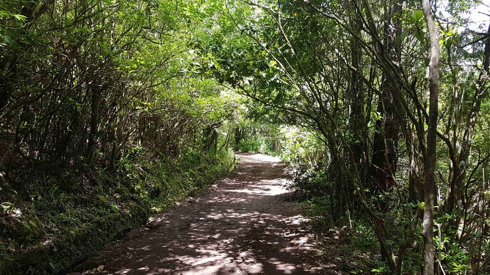 Madeira Private Guided Levada Caldeir O Verde Walk Pr Getyourguide