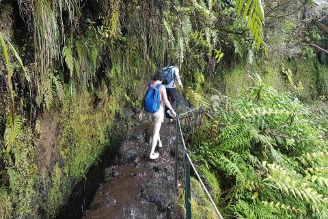 Madeira: Private geführte Levada Caldeirão Verde WanderungTour mit Abholung im Südwesten von Madeira