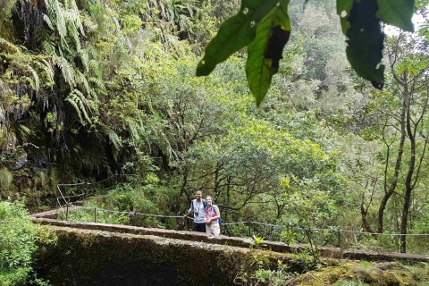 Madeira: privé begeleide Levada Caldeirão Verde-wandeling PR9Tour met Funchal Pick-up