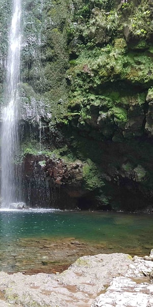 Madeira Private Guided Levada Caldeir O Verde Walk Pr Getyourguide