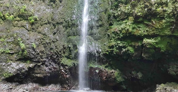 Madeira: Private Guided Levada Caldeirão Verde Walk PR9