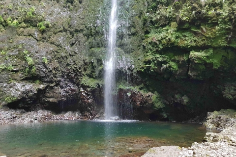 Madeira: privé begeleide Levada Caldeirão Verde-wandeling PR9Tour met North West Madeira Pickup