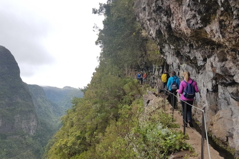 Madeira: privé begeleide Levada Caldeirão Verde-wandeling PR9Tour met Funchal Pick-up