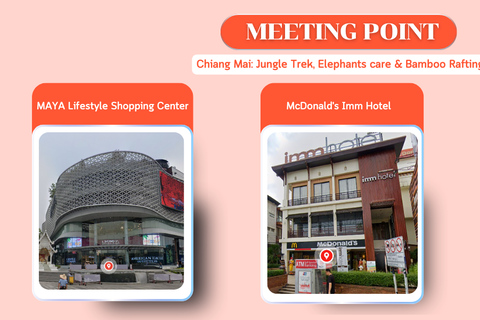 Chiang Mai: Jungle Trek, Elephants care & Bamboo Rafting