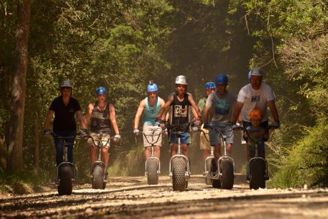 Knysna : Aventure en scooter de forêt en descente