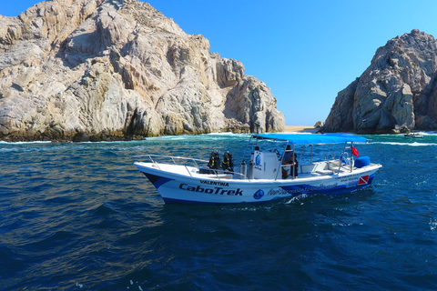 Cabo San Lucas: 2.5-Hour Whale Watching Tour