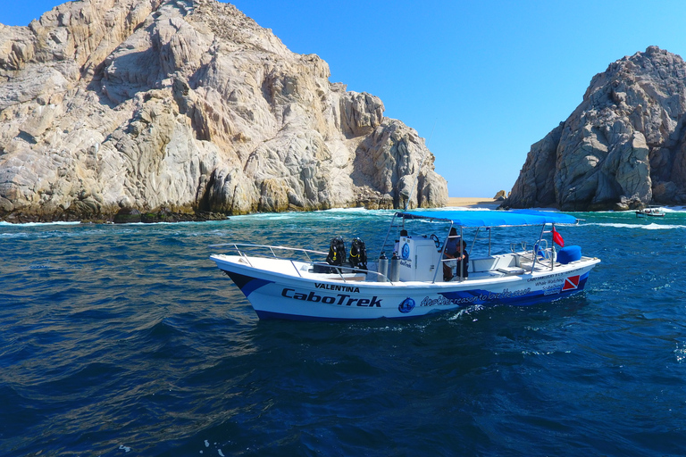 Cabo San Lucas: 2.5-Hour Whale Watching Tour