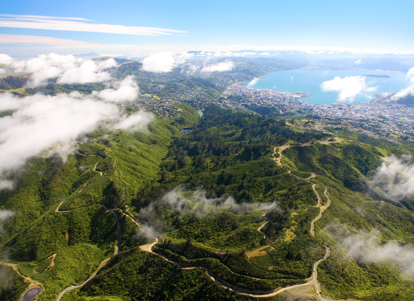 Zealandia på dagstur