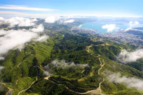 Zealandia by Day Tour