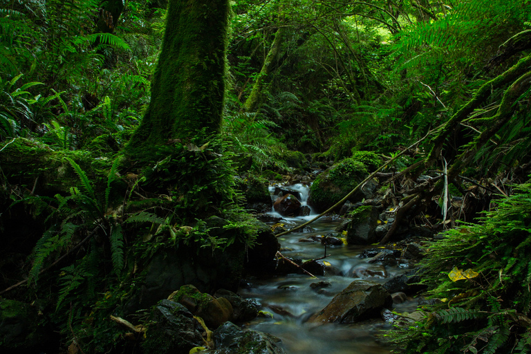 Zealandia by Night Tour