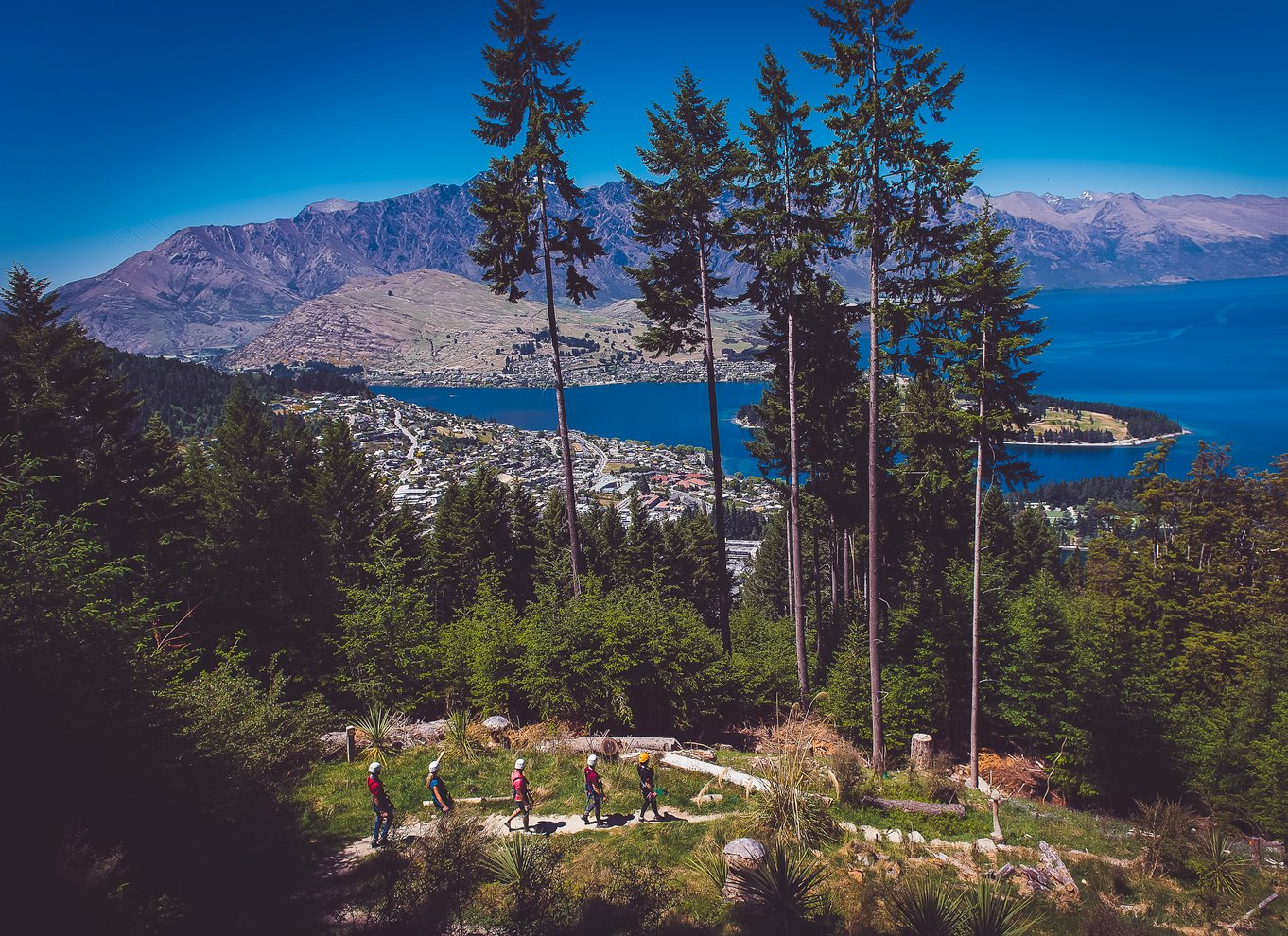 Queenstown: 3-timers zipline-eventyr med 6 liner