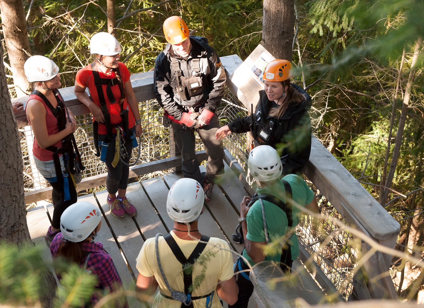 Queenstown: 3-timers zipline-eventyr med 6 liner